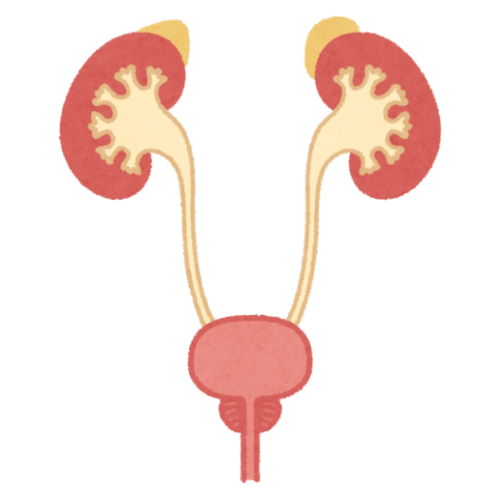 Zespół pęcherza nadreaktywnego